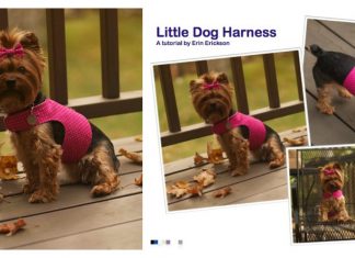 Little Dog Harness Free Sewing Pattern
