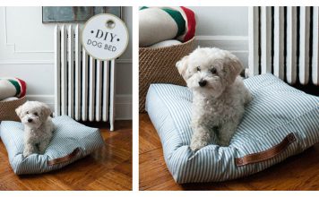 Pet Bed Free Sewing Pattern