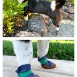 Dog Shoes Free Sewing Pattern