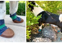 Dog Shoes Free Sewing Pattern