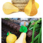 Fabric Pear Free Sewing Pattern
