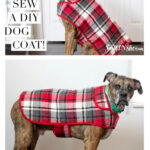 Dog Coat Free Sewing Pattern